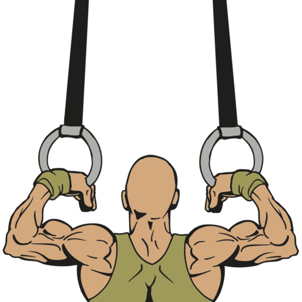 AR GYM 14 R Thumbnail