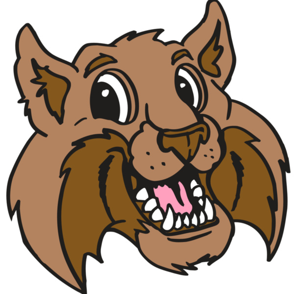 AR5 BOBCAT 05 RQC Thumbnail