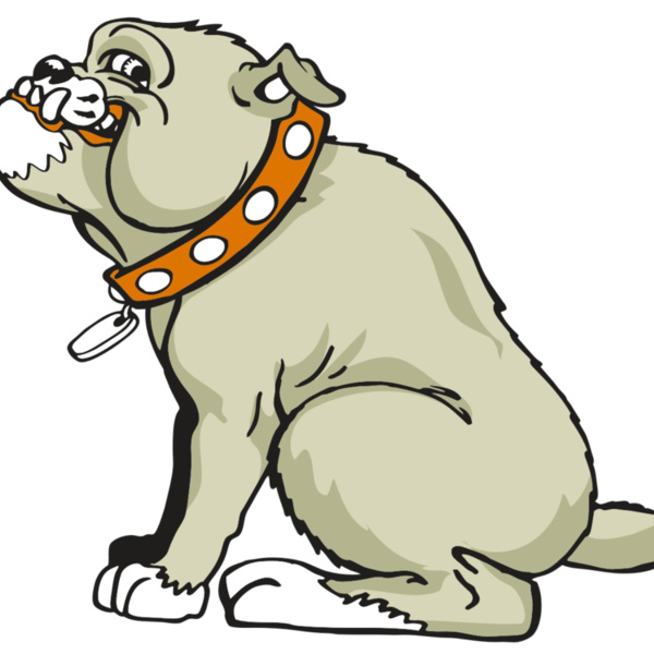 AR BDOG 26 RC Thumbnail