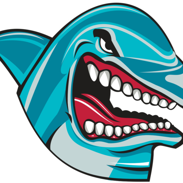 DOLPHIN HD0501 RQC Thumbnail