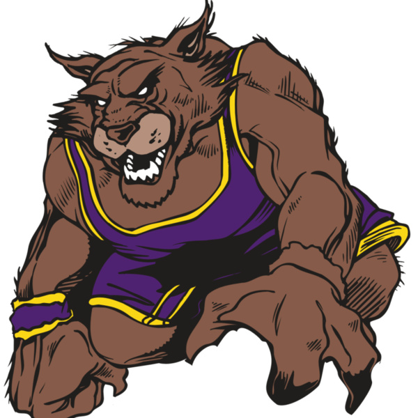 AR WILDCAT 23 RC Thumbnail