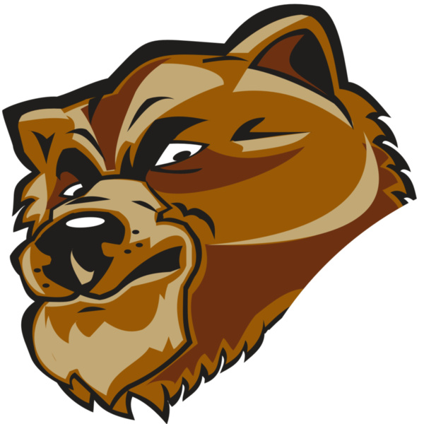 BEAR HD0504 RQC Thumbnail