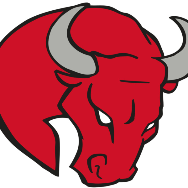 AR BULL 24 RC Thumbnail