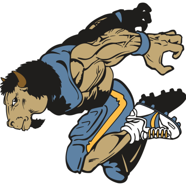 AR14 BUFFALO FBLL 07 RQC Thumbnail