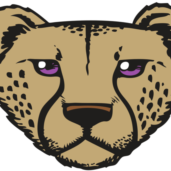 BAW CHEETAH 14 RC Thumbnail