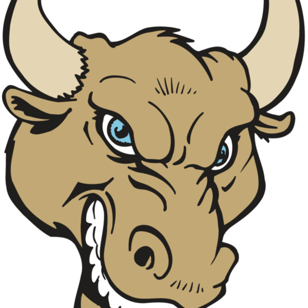 AR5 BULL 13 RQC Thumbnail