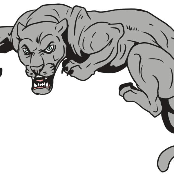 AR10 PANTHER 02 RQC Thumbnail