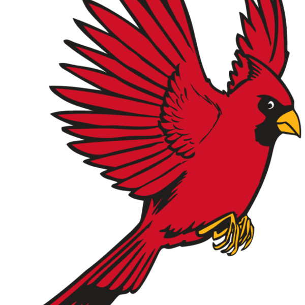 BAW CARDINAL 19 RC Thumbnail