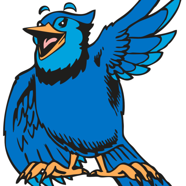 BAW BLUEJAY 06 RC Thumbnail