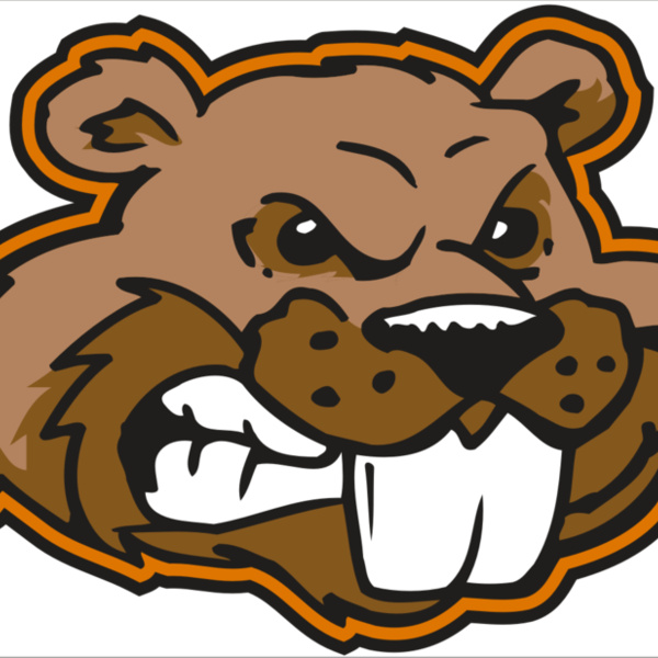 AR BEAVER 11 RC Thumbnail