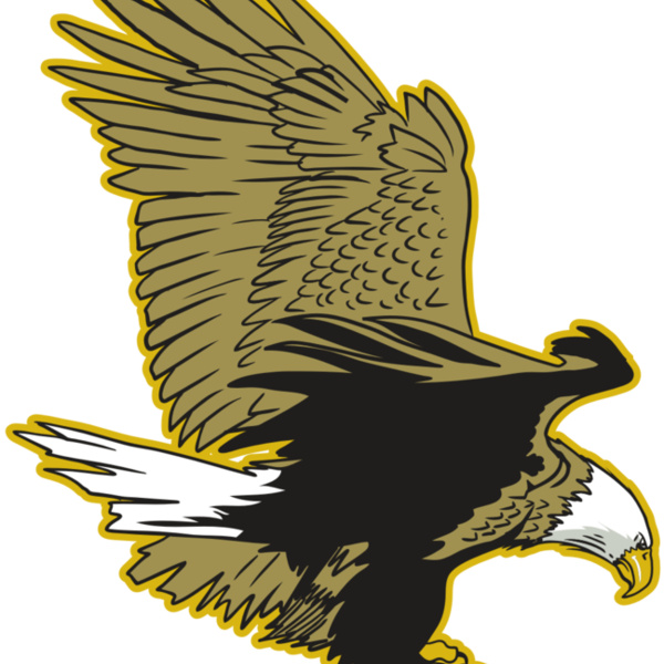 AR10 EAGLE 01 RQC Thumbnail