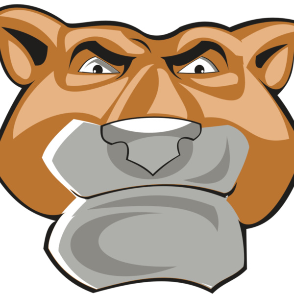 COUGAR HD0502 RQC Thumbnail