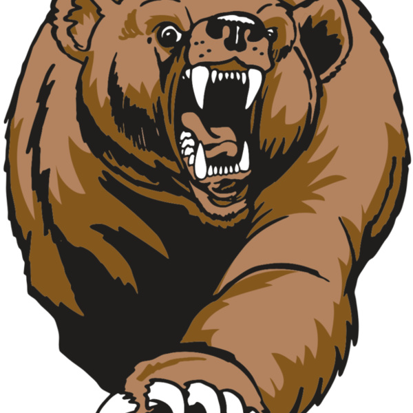 AR BEAR 74 RC Thumbnail