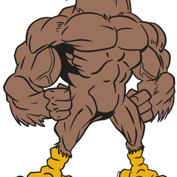 AR13 FALCON 01 RQC Thumbnail