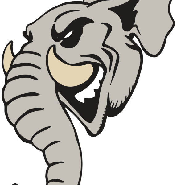 AR5 Elephant 11 RQC Thumbnail