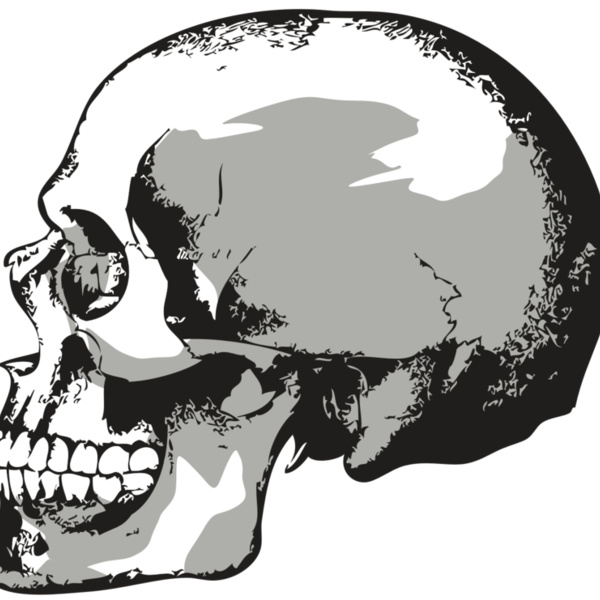 AR24 SKULL 02 RQC Thumbnail