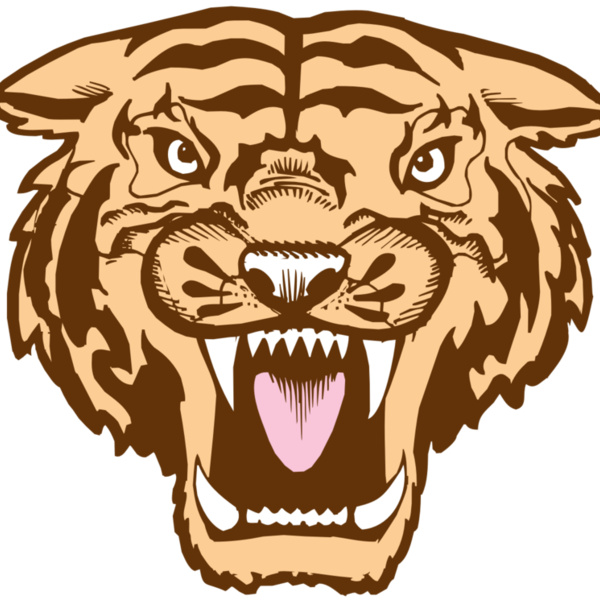 BAW TIGER 05 RC Thumbnail