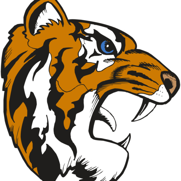 BAW TIGER 08 RC Thumbnail