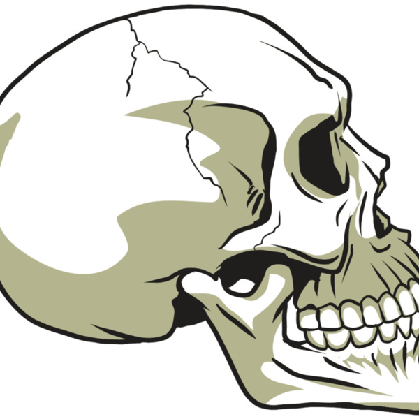 AR24 SKULL 12 RQC Thumbnail