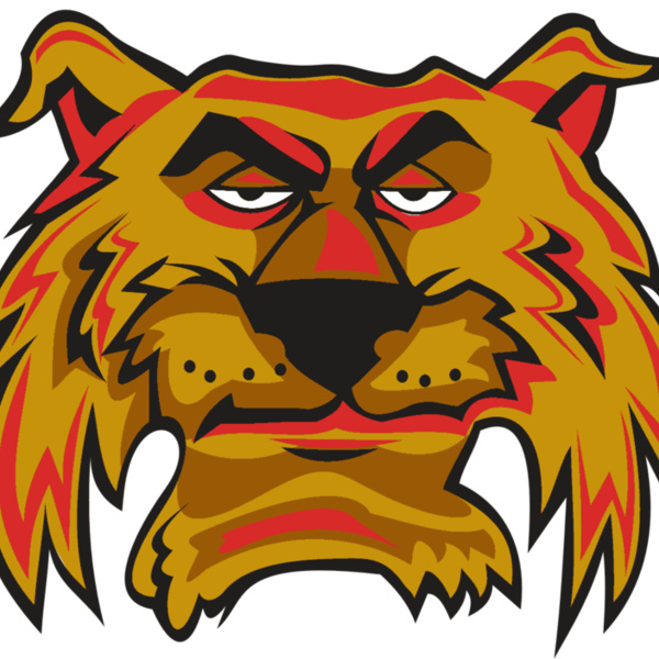 WILDCAT HD0503 RQC Thumbnail