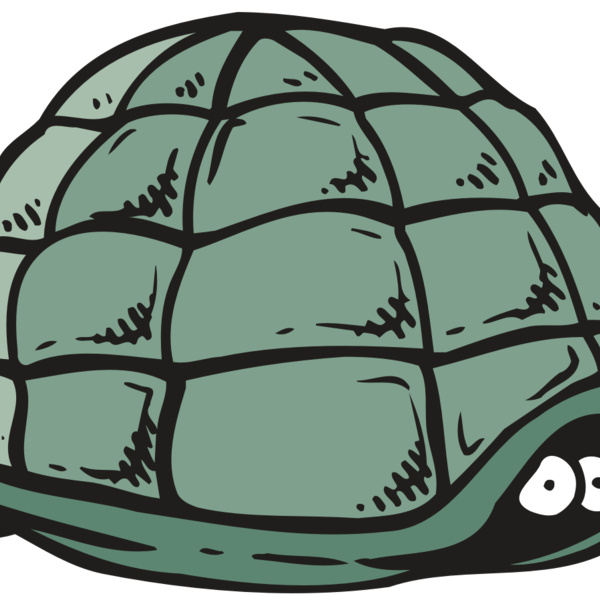 AR5 Turtle 10 RQC Thumbnail