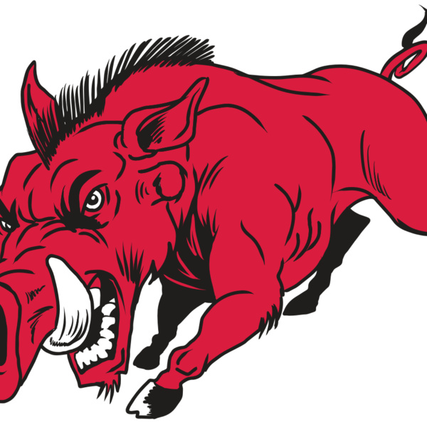 AR22 RAZORBACK 01 RQC Thumbnail