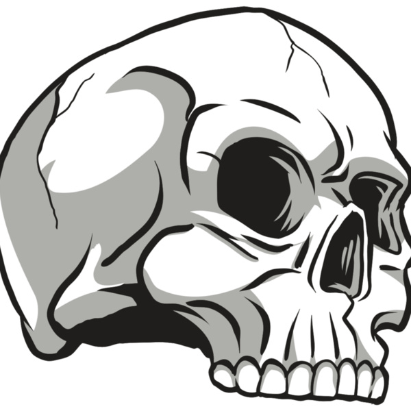 AR24 SKULL 10 RQC Thumbnail