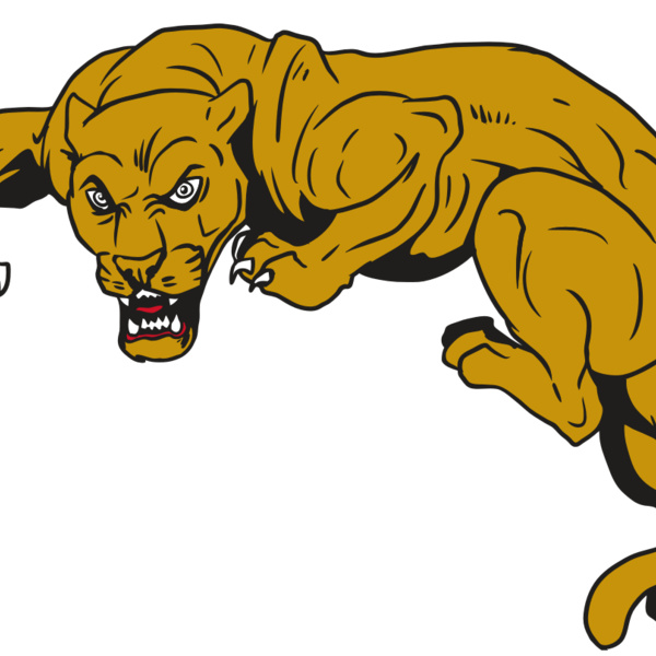 AR10 PANTHER 02 RQC Thumbnail