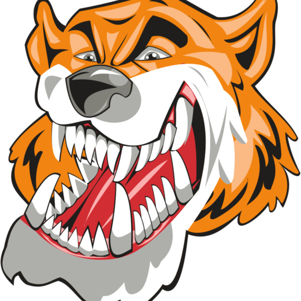 TIGER HD0504 RQC Thumbnail