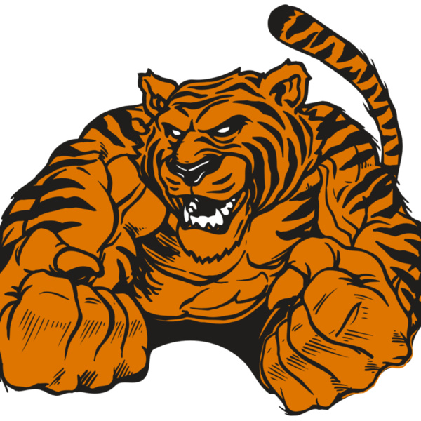 AR TIGER 55 RC Thumbnail