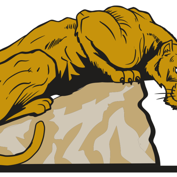 AR10 PANTHER 01 RQC Thumbnail