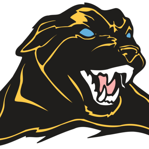 AR COUGAR 42 RC Thumbnail