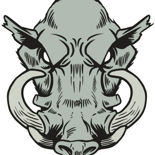 AR20 RAZORBACK 38 RQC Thumbnail