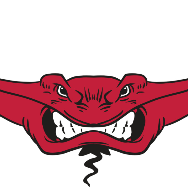 AR19 STINGRAY 03 RQC Thumbnail