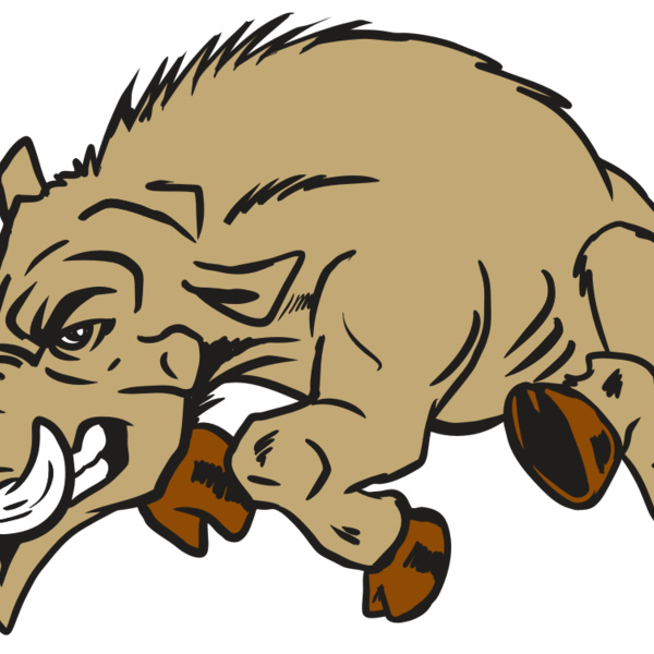 AR20 RAZORBACK 37 RQC Thumbnail