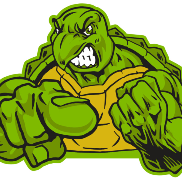 AR31 TURTLE 02 RQC Thumbnail